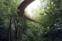 The Treetop Experience sendero de madera