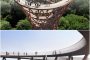 rampa espiral torre mirador Treetop Experience