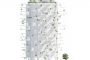 plano alzado Torre Arbre Blanc