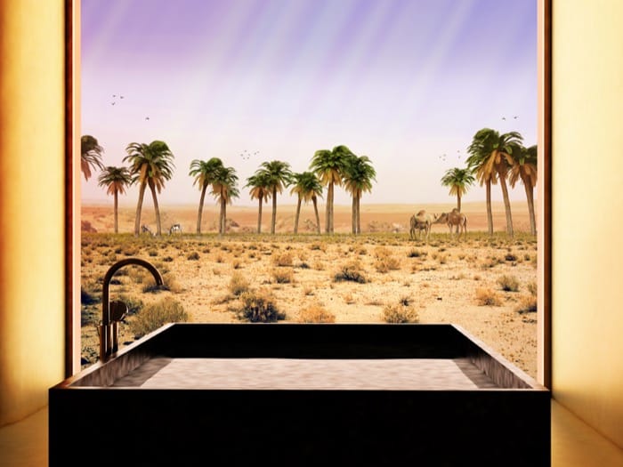 baño en retiro ecológico Oasis de Liwa