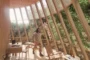 render interior refugio Baobab