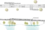 Econtainer Bridge Tel Alviv planos
