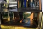 detalles cafetería en contenedor de carga