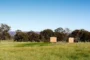 refugio arkit en Grampians Australia